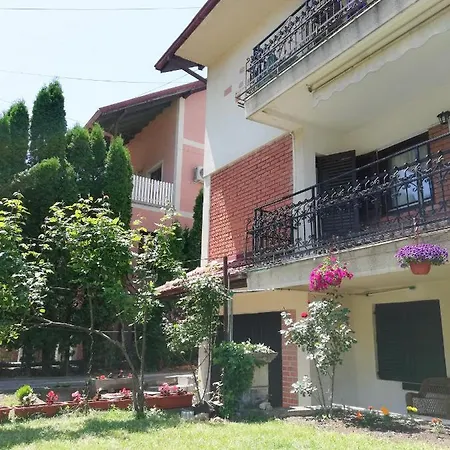 Nikola Apartment Soko Banja