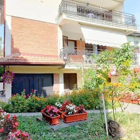 Apartment Nikola