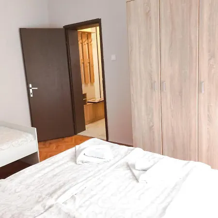 Nikola Apartment Soko Banja