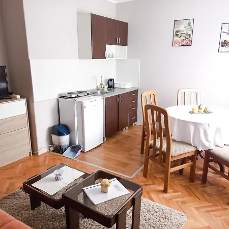 Nikola Apartment Soko Banja