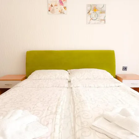 Nikola Apartment Soko Banja