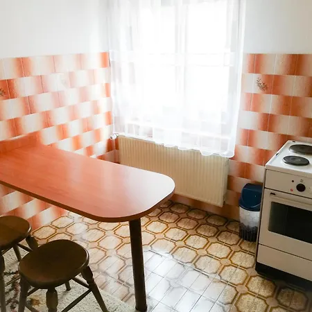 Nikola Apartment Soko Banja