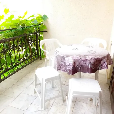 Apartament Nikola Sokobanja